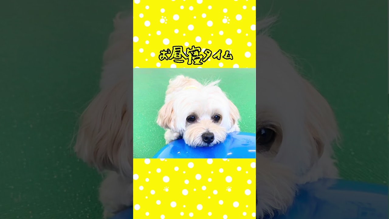 Instagram お教室動画