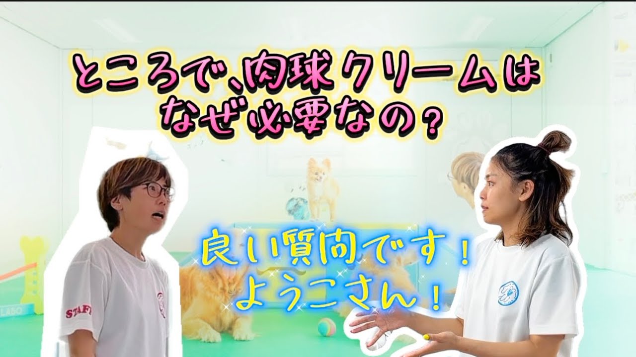 ワン•ブレラ限定　肉球ぷにぷにセットができるまで（PART1)