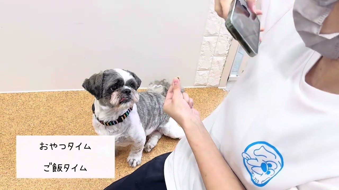 ホテル紹介動画