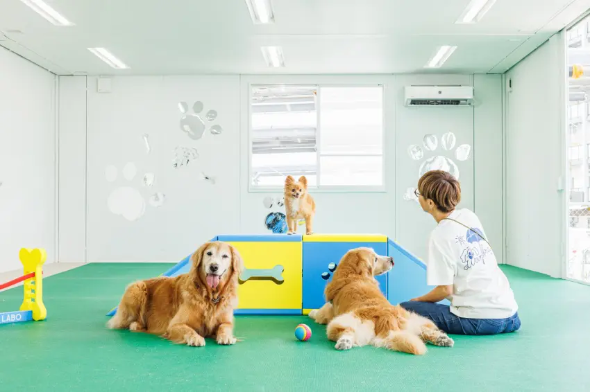 ドッグホテル | 沖縄県八重瀬町のドッグラン&トリミングサロンWan.brella